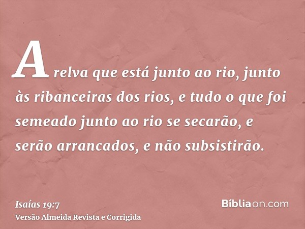 A relva que está junto ao rio, junto às ribanceiras dos rios, e tudo o que foi semeado junto ao rio se secarão, e serão arrancados, e não subsistirão.