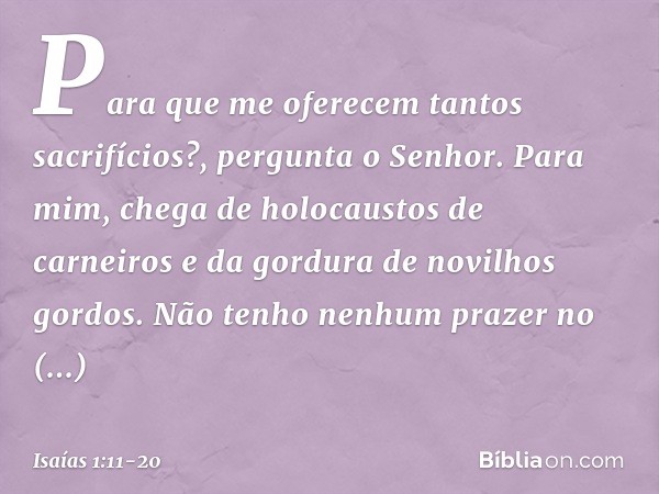 "Para que me oferecem
tantos sacrifícios?",
pergunta o Senhor.
"Para mim, chega de holocaustos de carneiros
e da gordura de novilhos gordos.
Não tenho nenhum pr