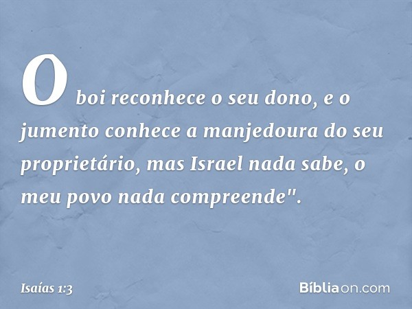 O boi reconhece o seu dono,
e o jumento conhece a manjedoura
do seu proprietário,
mas Israel nada sabe,
o meu povo nada compreende". -- Isaías 1:3