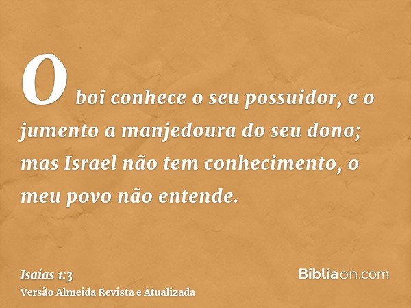 O boi conhece o seu possuidor, e o jumento a manjedoura do seu dono; mas Israel não tem conhecimento, o meu povo não entende.