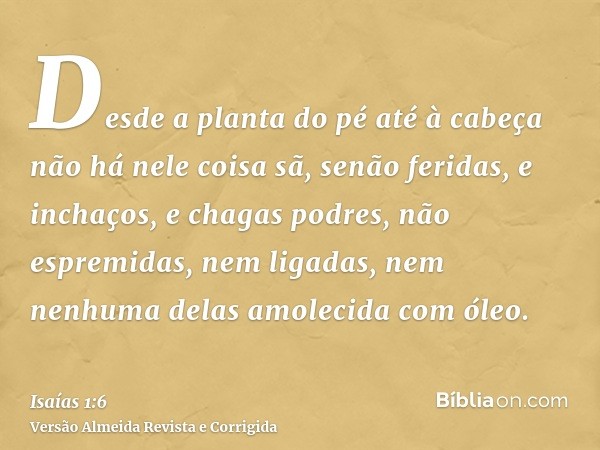 Desde a planta do pé até à cabeça não há nele coisa sã, senão feridas, e inchaços, e chagas podres, não espremidas, nem ligadas, nem nenhuma delas amolecida com
