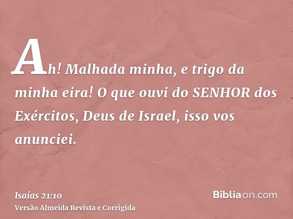 Ah! Malhada minha, e trigo da minha eira! O que ouvi do SENHOR dos Exércitos, Deus de Israel, isso vos anunciei.