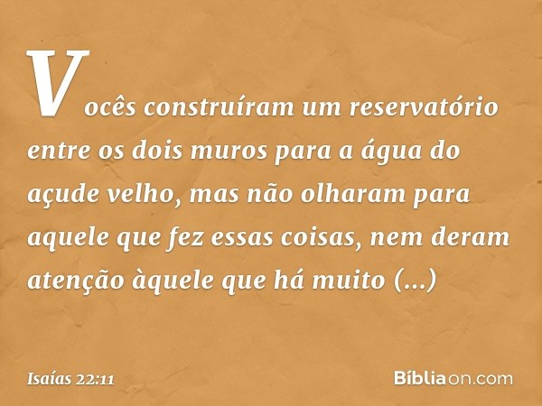 Vocês construíram um reservatório
entre os dois muros
para a água do açude velho,
mas não olharam para aquele
que fez essas coisas,
nem deram atenção àquele
que