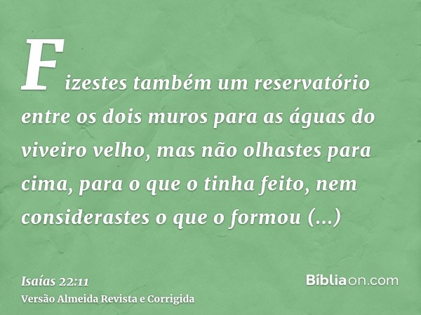 Fizestes também um reservatório entre os dois muros para as águas do viveiro velho, mas não olhastes para cima, para o que o tinha feito, nem considerastes o qu