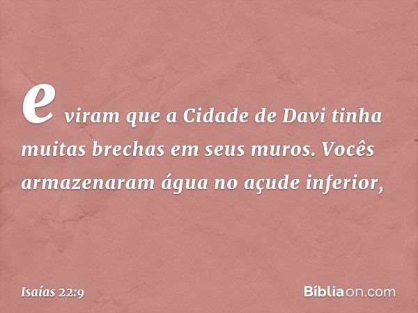 e viram que a Cidade de Davi
tinha muitas brechas em seus muros.
Vocês armazenaram água
no açude inferior, -- Isaías 22:9