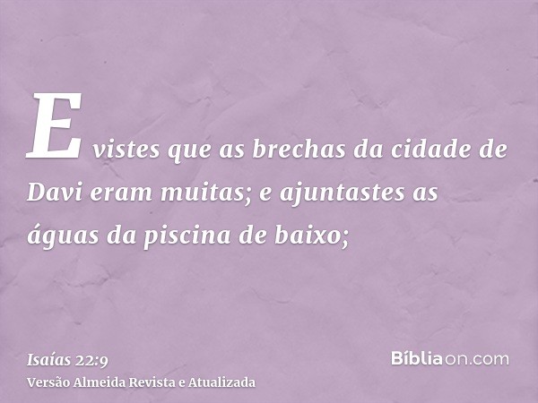 E vistes que as brechas da cidade de Davi eram muitas; e ajuntastes as águas da piscina de baixo;