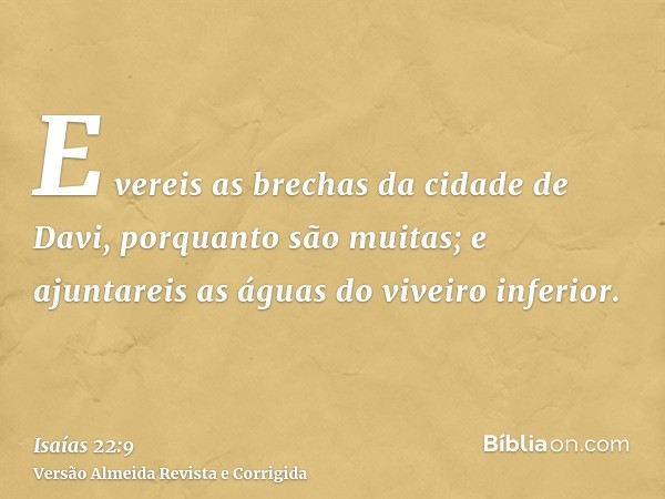E vereis as brechas da cidade de Davi, porquanto são muitas; e ajuntareis as águas do viveiro inferior.