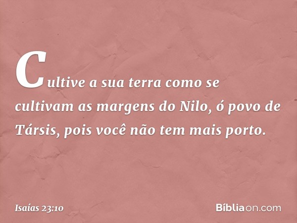 Cultive a sua terra
como se cultivam as margens do Nilo,
ó povo de Társis,
pois você não tem mais porto. -- Isaías 23:10