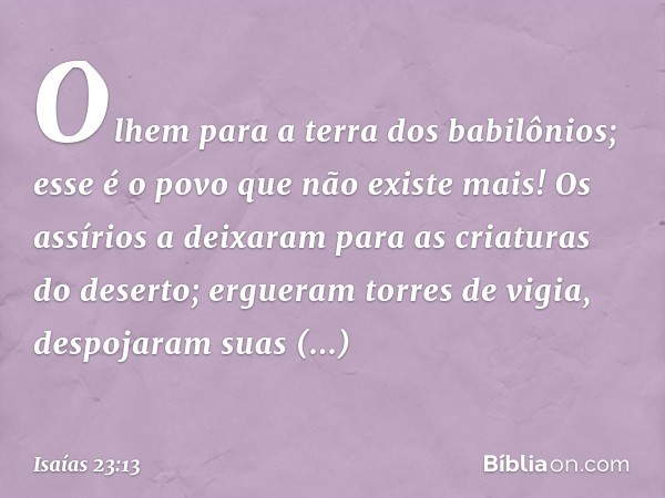 Olhem para a terra dos babilônios;
esse é o povo que não existe mais!
Os assírios a deixaram
para as criaturas do deserto;
ergueram torres de vigia,
despojaram 