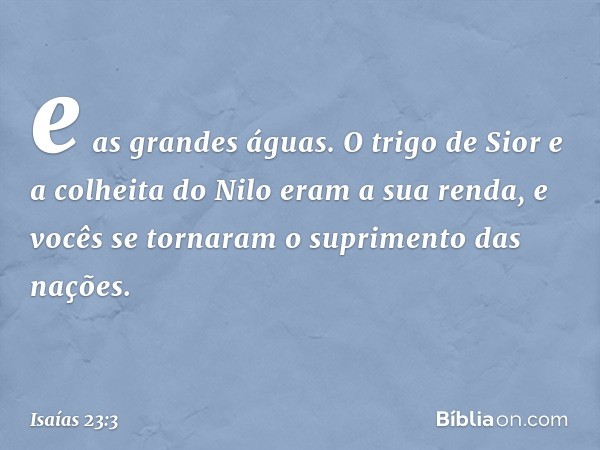 e as grandes águas.
O trigo de Sior
e a colheita do Nilo eram a sua renda,
e vocês se tornaram
o suprimento das nações. -- Isaías 23:3