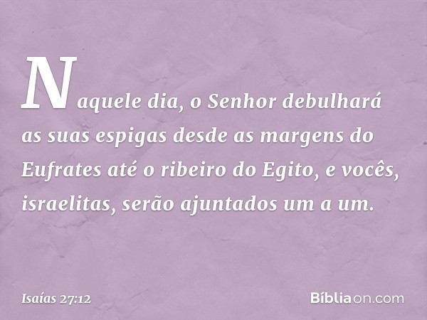 Naquele dia, o Senhor debulhará as suas espigas desde as margens do Eufrates até o ribeiro do Egito, e vocês, israelitas, serão ajuntados um a um. -- Isaías 27: