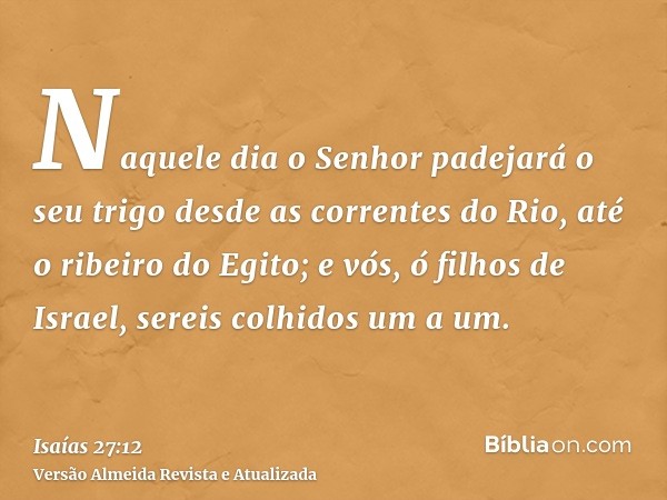 Naquele dia o Senhor padejará o seu trigo desde as correntes do Rio, até o ribeiro do Egito; e vós, ó filhos de Israel, sereis colhidos um a um.