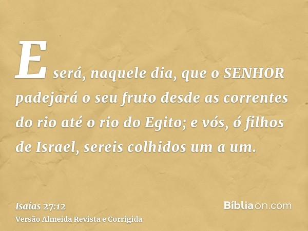E será, naquele dia, que o SENHOR padejará o seu fruto desde as correntes do rio até o rio do Egito; e vós, ó filhos de Israel, sereis colhidos um a um.
