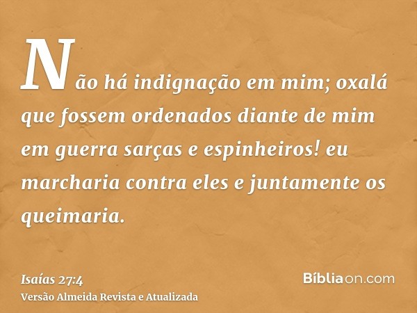 Não há indignação em mim; oxalá que fossem ordenados diante de mim em guerra sarças e espinheiros! eu marcharia contra eles e juntamente os queimaria.