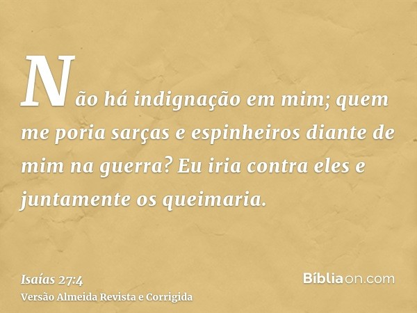 Não há indignação em mim; quem me poria sarças e espinheiros diante de mim na guerra? Eu iria contra eles e juntamente os queimaria.