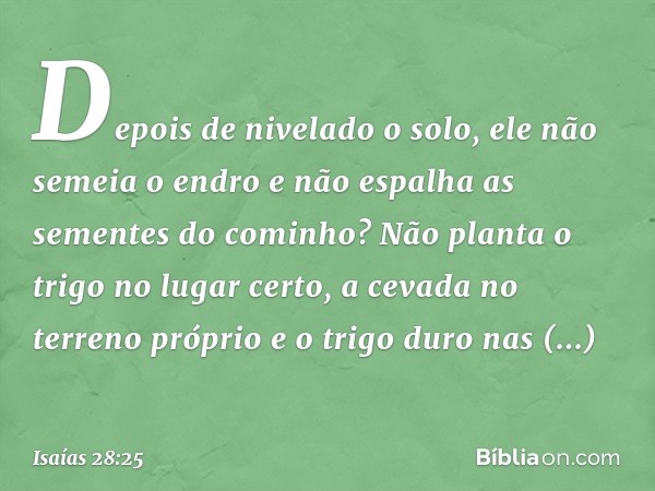 Depois de nivelado o solo,
ele não semeia o endro e não espalha
as sementes do cominho?
Não planta o trigo no lugar certo,
a cevada no terreno próprio
e o trigo