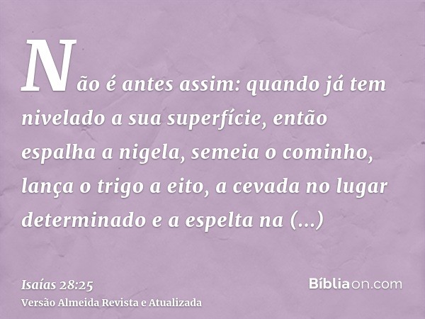 Não é antes assim: quando já tem nivelado a sua superfície, então espalha a nigela, semeia o cominho, lança o trigo a eito, a cevada no lugar determinado e a es