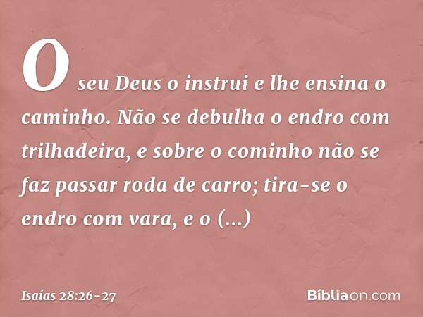 O seu Deus o instrui
e lhe ensina o caminho. Não se debulha o endro com trilhadeira,
e sobre o cominho não se faz passar
roda de carro;
tira-se o endro com vara