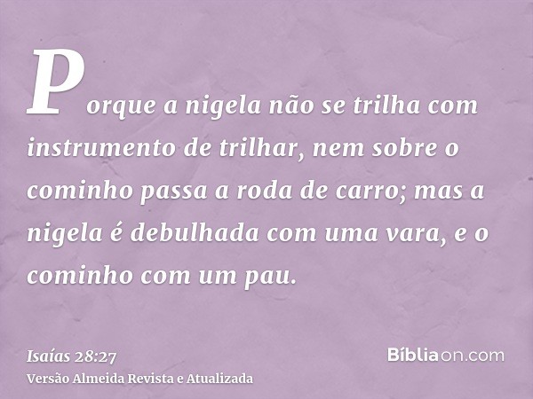 Porque a nigela não se trilha com instrumento de trilhar, nem sobre o cominho passa a roda de carro; mas a nigela é debulhada com uma vara, e o cominho com um p