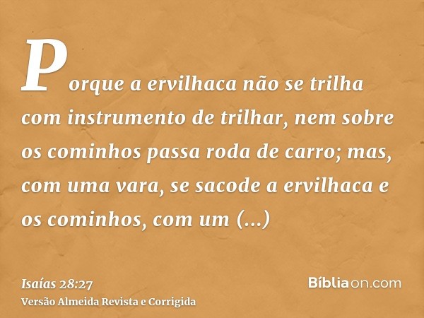 Porque a ervilhaca não se trilha com instrumento de trilhar, nem sobre os cominhos passa roda de carro; mas, com uma vara, se sacode a ervilhaca e os cominhos, 
