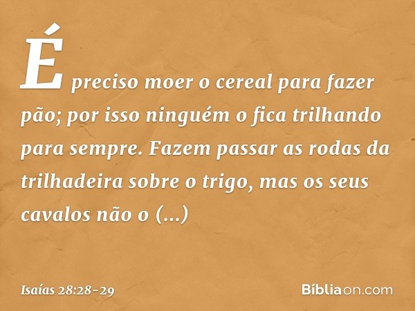 É preciso moer o cereal para fazer pão;
por isso ninguém o fica
trilhando para sempre.
Fazem passar as rodas da trilhadeira
sobre o trigo,
mas os seus cavalos n