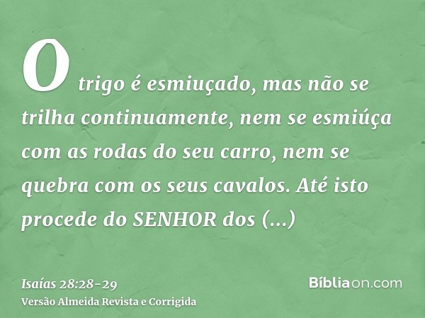 O trigo é esmiuçado, mas não se trilha continuamente, nem se esmiúça com as rodas do seu carro, nem se quebra com os seus cavalos.Até isto procede do SENHOR dos