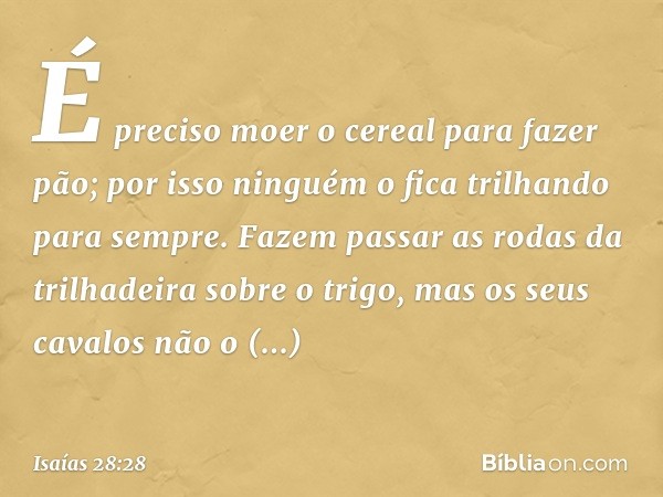 É preciso moer o cereal para fazer pão;
por isso ninguém o fica
trilhando para sempre.
Fazem passar as rodas da trilhadeira
sobre o trigo,
mas os seus cavalos n