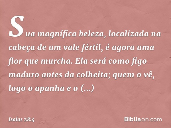 Sua magnífica beleza,
localizada na cabeça de um vale fértil,
é agora uma flor que murcha.
Ela será como figo maduro
antes da colheita;
quem o vê, logo o apanha