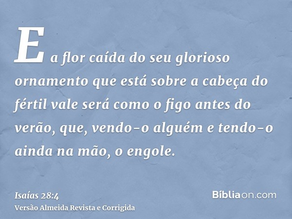 E a flor caída do seu glorioso ornamento que está sobre a cabeça do fértil vale será como o figo antes do verão, que, vendo-o alguém e tendo-o ainda na mão, o e
