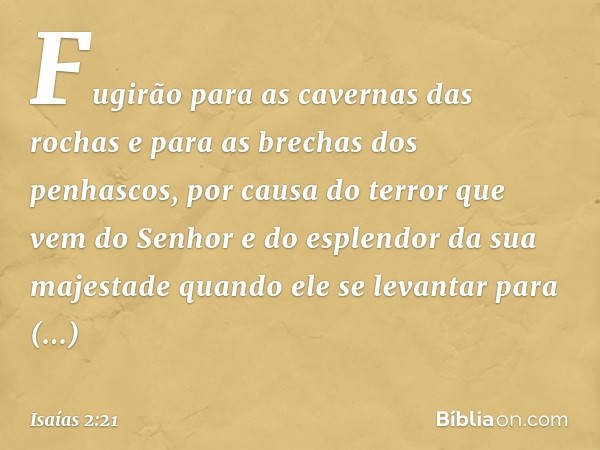 Fugirão para as cavernas das rochas
e para as brechas dos penhascos,
por causa do terror
que vem do Senhor
e do esplendor da sua majestade
quando ele se levanta