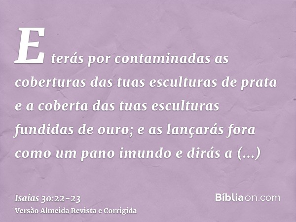 E terás por contaminadas as coberturas das tuas esculturas de prata e a coberta das tuas esculturas fundidas de ouro; e as lançarás fora como um pano imundo e d