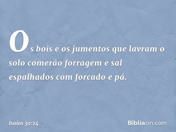 Os bois e os jumentos que lavram o solo comerão forragem e sal espalhados com forcado e pá. -- Isaías 30:24