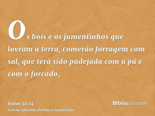 Os bois e os jumentinhos que lavram a terra, comerão forragem com sal, que terá sido padejada com a pá e com o forcado,