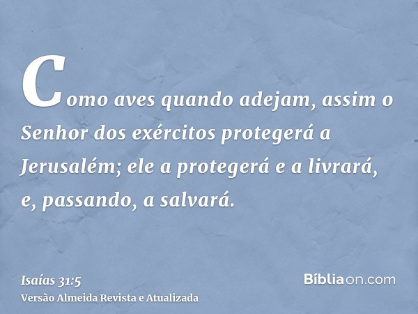 Como aves quando adejam, assim o Senhor dos exércitos protegerá a Jerusalém; ele a protegerá e a livrará, e, passando, a salvará.