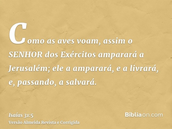 Como as aves voam, assim o SENHOR dos Exércitos amparará a Jerusalém; ele a amparará, e a livrará, e, passando, a salvará.