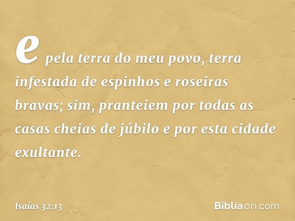 e pela terra do meu povo,
terra infestada de espinhos
e roseiras bravas;
sim, pranteiem por todas
as casas cheias de júbilo
e por esta cidade exultante. -- Isaí