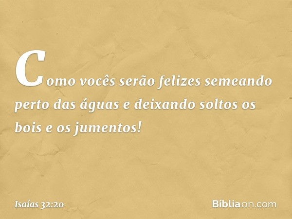 Como vocês serão felizes
semeando perto das águas
e deixando soltos os bois e os jumentos! -- Isaías 32:20