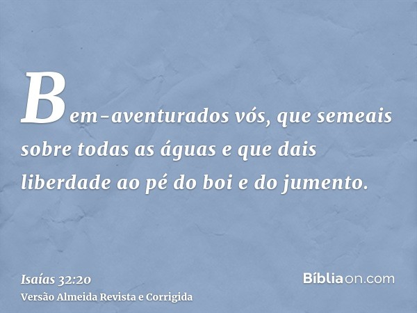 Bem-aventurados vós, que semeais sobre todas as águas e que dais liberdade ao pé do boi e do jumento.