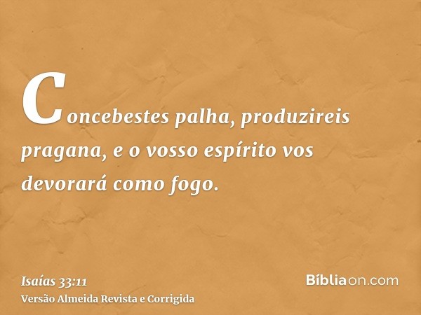 Concebestes palha, produzireis pragana, e o vosso espírito vos devorará como fogo.