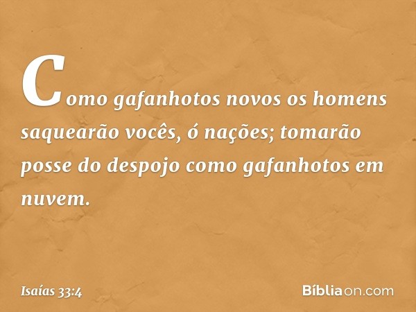 Como gafanhotos novos
os homens saquearão vocês,
ó nações;
tomarão posse do despojo
como gafanhotos em nuvem. -- Isaías 33:4