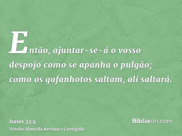 Então, ajuntar-se-á o vosso despojo como se apanha o pulgão; como os gafanhotos saltam, ali saltará.