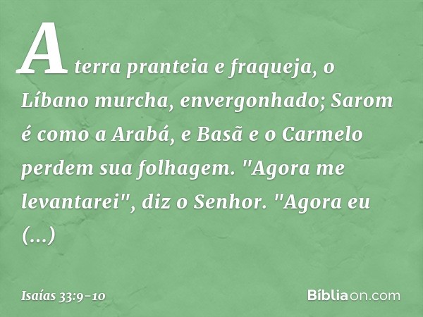 A terra pranteia e fraqueja,
o Líbano murcha, envergonhado;
Sarom é como a Arabá,
e Basã e o Carmelo perdem sua folhagem. "Agora me levantarei", diz o Senhor.