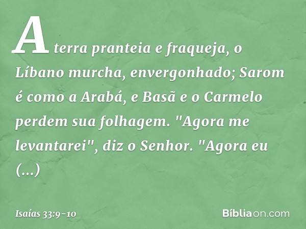 A terra pranteia e fraqueja,
o Líbano murcha, envergonhado;
Sarom é como a Arabá,
e Basã e o Carmelo perdem sua folhagem. "Agora me levantarei", diz o ­Senhor.
