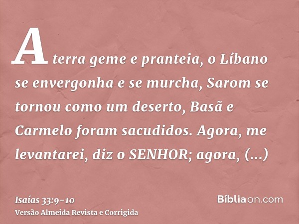 A terra geme e pranteia, o Líbano se envergonha e se murcha, Sarom se tornou como um deserto, Basã e Carmelo foram sacudidos.Agora, me levantarei, diz o SENHOR;