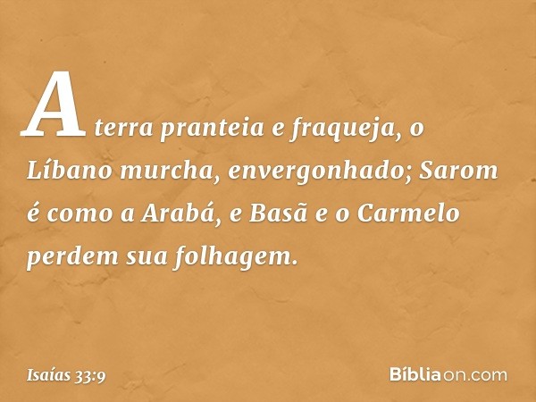 A terra pranteia e fraqueja,
o Líbano murcha, envergonhado;
Sarom é como a Arabá,
e Basã e o Carmelo perdem sua folhagem. -- Isaías 33:9