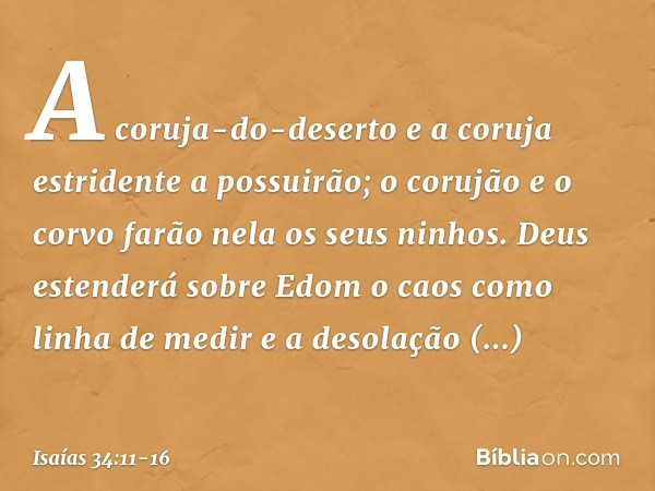 A coruja-do-deserto
e a coruja estriden­te a possuirão;
o corujão e o corvo
farão nela os seus ninhos.
Deus estenderá sobre Edom
o caos como linha de medir
e a 