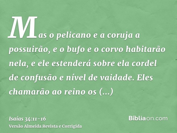 Mas o pelicano e a coruja a possuirão, e o bufo e o corvo habitarão nela, e ele estenderá sobre ela cordel de confusão e nível de vaidade.Eles chamarão ao reino