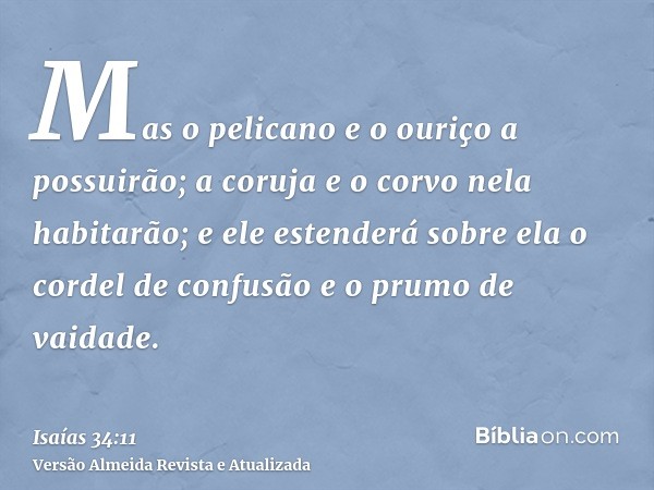 Mas o pelicano e o ouriço a possuirão; a coruja e o corvo nela habitarão; e ele estenderá sobre ela o cordel de confusão e o prumo de vaidade.