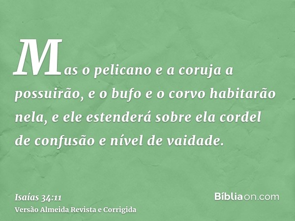 Mas o pelicano e a coruja a possuirão, e o bufo e o corvo habitarão nela, e ele estenderá sobre ela cordel de confusão e nível de vaidade.