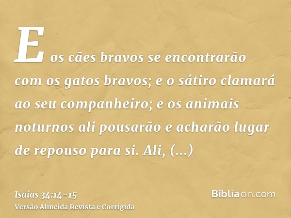 E os cães bravos se encontrarão com os gatos bravos; e o sátiro clamará ao seu companheiro; e os animais noturnos ali pousarão e acharão lugar de repouso para s